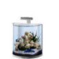 TETRA ACQUARIO EXPLORER BIANCO LED GAMBERI 30L