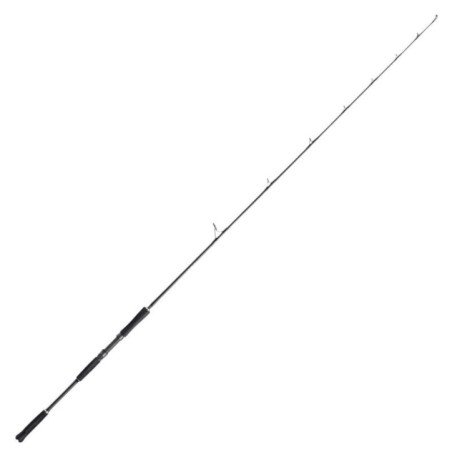 ARTICO CANNA SPHERA PALLUCCELLA 2.1MT 100-300GR