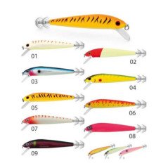 SEIKA TUBERTINI TOTANARE DRAGON SQUID 105