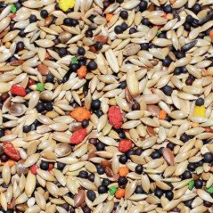 MANITOBA MISCUGLIO CANARINI CON BISCOTTO T1