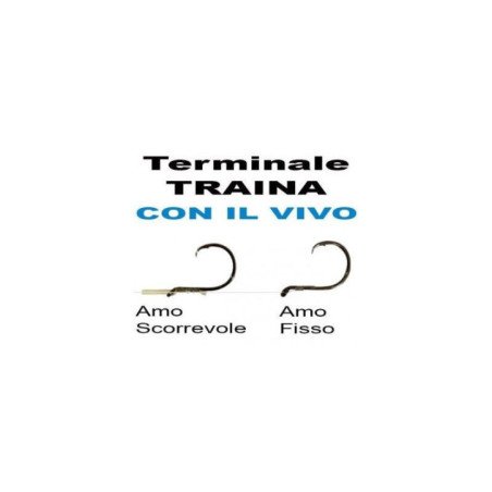 OLYMPUS TERMINALE DA TRAINA COL VIVO