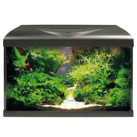 ACQUARIO AMTRA SYSTEM 60 LED COMPLETO
