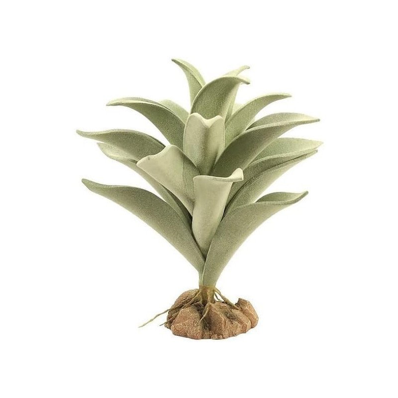 ZOOMED NATURALISTIC DESERT FLORA SILVER MULLEIN