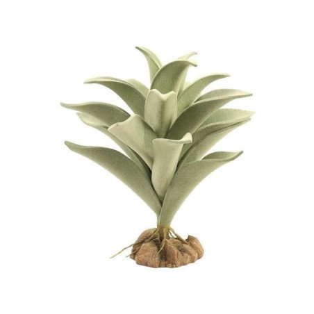 ZOOMED NATURALISTIC DESERT FLORA SILVER MULLEIN