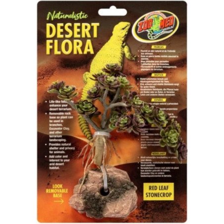 ZOOMED NATURALISTIC DESERT FLORA RED LEAF STONECROF