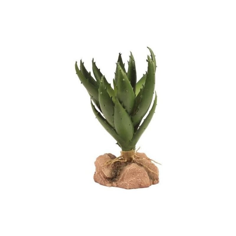 ZOOMED NATURALISTIC DESERT FLORA GREEN ALOE