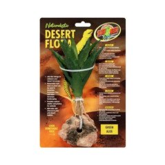 ZOOMED NATURALISTIC DESERT FLORA GREEN ALOE