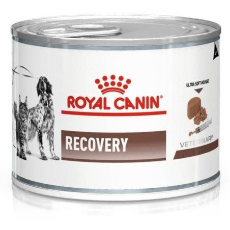 ROYAL CANIN RECOVERY CANI E GATTI 195GR