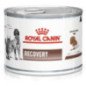 ROYAL CANIN RECOVERY CANI E GATTI 195GR