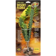 ZOOMED NATURALISTIC DESERT FLORA EUPHORBIA