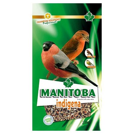 MANITOBA MANGIME INDIGENA 2.5KG