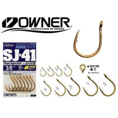 ZOOMED NATURALISTIC DESERT FLORA RED LEAF STONECROF