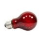 ZOOMED LAMPADA REPTY BULB NIGHTLIGHT 25W