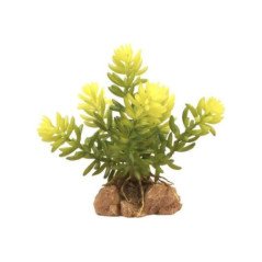 SHIMANO CANNA NEXAVE 80XH FAST 2,44MT 28-84GR