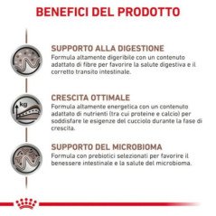 ROYAL CANIN CANE PUPPY GASTROINTESTINAL