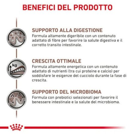 ROYAL CANIN CANE PUPPY GASTROINTESTINAL