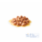 ROYAL CANIN KITTEN BUSTINA IN SALSA PER GATTO 85GR