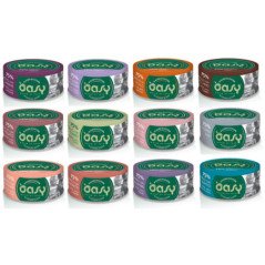 OASY UMIDO GATTO MORE LOVE LATTINA NATURALE 70GR