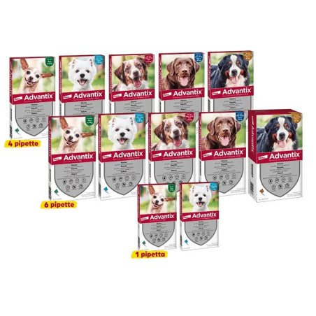 ELANCO ADVANTIX DA 10KG A 25KG ANTIPARASSITARIO PER CANI