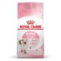 ROYAL CANIN KITTEN CROCCHETTE PER GATTINI