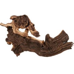 ZOLUX DECORAZIONI RADICI MOPANI