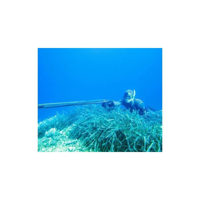 SALVIMAR FIOCINA 4 PUNTE LEGGERE