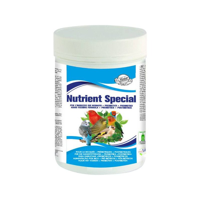 MAIOR NUTRIENT SPECIAL 250 GR