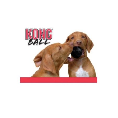 KONG PALLA PORTA SNACK EXTREME