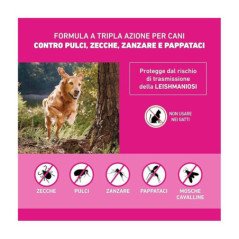 FRONTLINE TRI-ACT PER CANI 5-10KG 1 PIPETTA