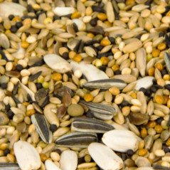 MANITOBA PARAKEETS UNIVERSAL