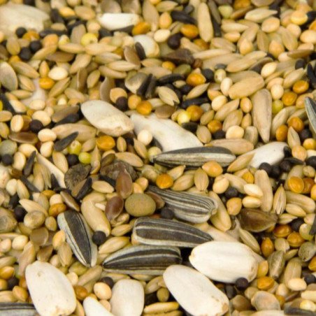 MANITOBA PARAKEETS UNIVERSAL