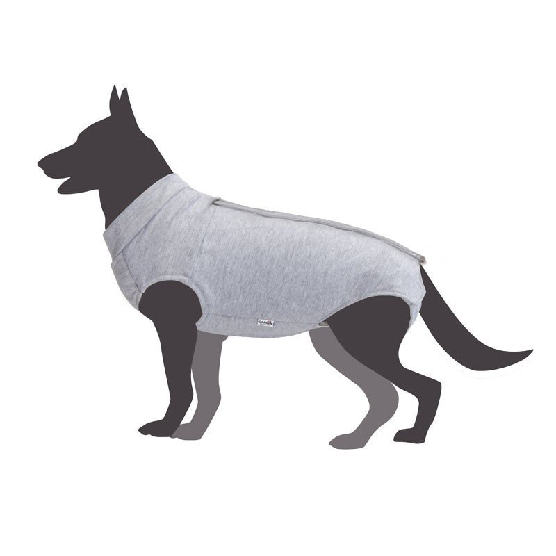 CAMON TUTINA POST OPERATORIA CANE