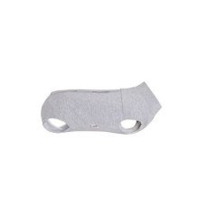 CAMON TUTINA POST OPERATORIA CANE