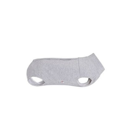 CAMON TUTINA POST OPERATORIA CANE