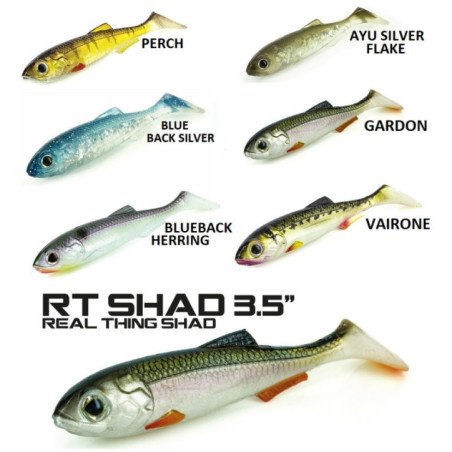 MOLIX REAL THING SHAD 3.5''