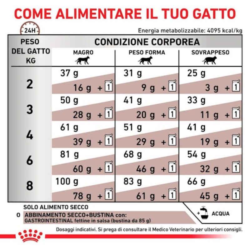 ROYAL CANIN GATTO GASTROINTESTINAL