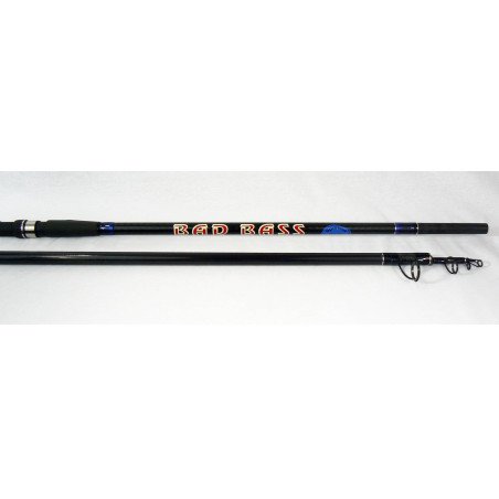 CANNA SURF CASTING BAD BASS NEW CONCEPT 175gr 4.25mt