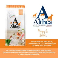 ALTHEA PUPPY JUNIOR MEDIUM MANZO POLLO AGNELLO E SALMONE 2.5KG