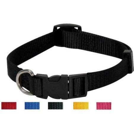 COLLARE NYLON REGOLABILE DA 10mm