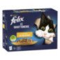 PURINA GATTO FELIX LE GHIOTTONERIE VARIETA' 12X85GR