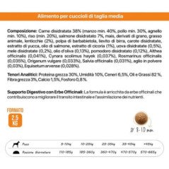 SHIMANO CANNA AERO X1 BOLOGNESE 8-18GR