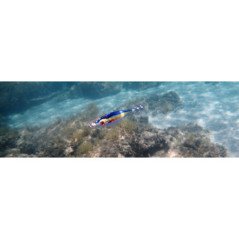 TOTANARE DTD BLOODY FISH 1.5