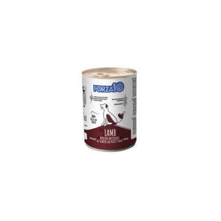FORZA10 MAINTENANCE AGNELLO 400GR CANE