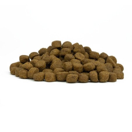 FORZA10 MAXI ADULT MAINTENANCE PESCE 36-70 KG