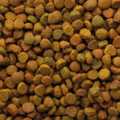 VERSELE LAGA GATTO CLASSIC VARIETY MIX 10 KG