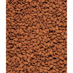 VERSALE LEGA ESTRUSO NUTRIBIRD G14 ORIGINAL 10KG