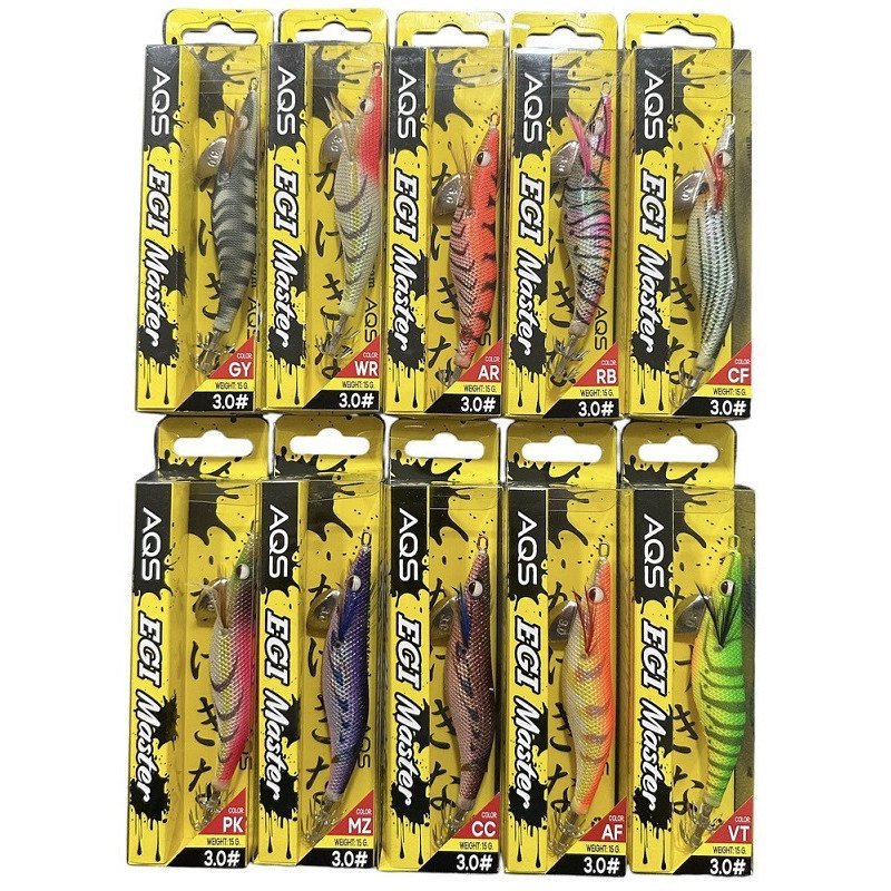 AQS EGI MASTER MIS 3,0