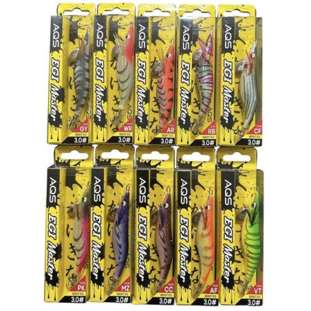 AQS EGI MASTER MIS 3,0