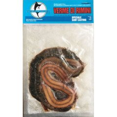 ESCA VERME DI RIMINI TECNOESCA