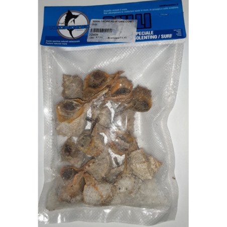 ESCA BULLI TECNOESCA